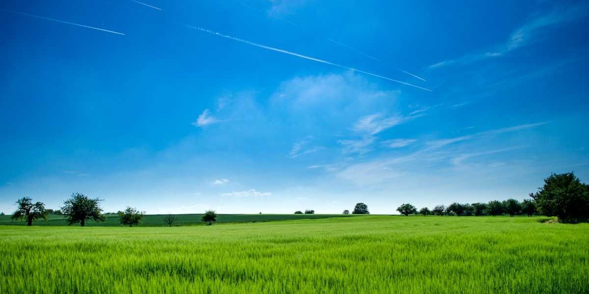 Commitment to excellence and sustainability